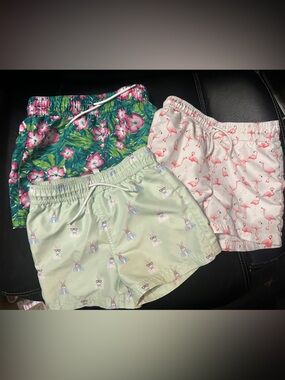 Janie and Jack Boys Swim Trunks Bundle – Size 4 (3 Pairs)